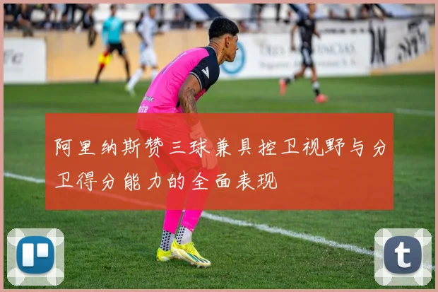 阿里纳斯赞三球兼具控卫视野与分卫得分能力的全面表现